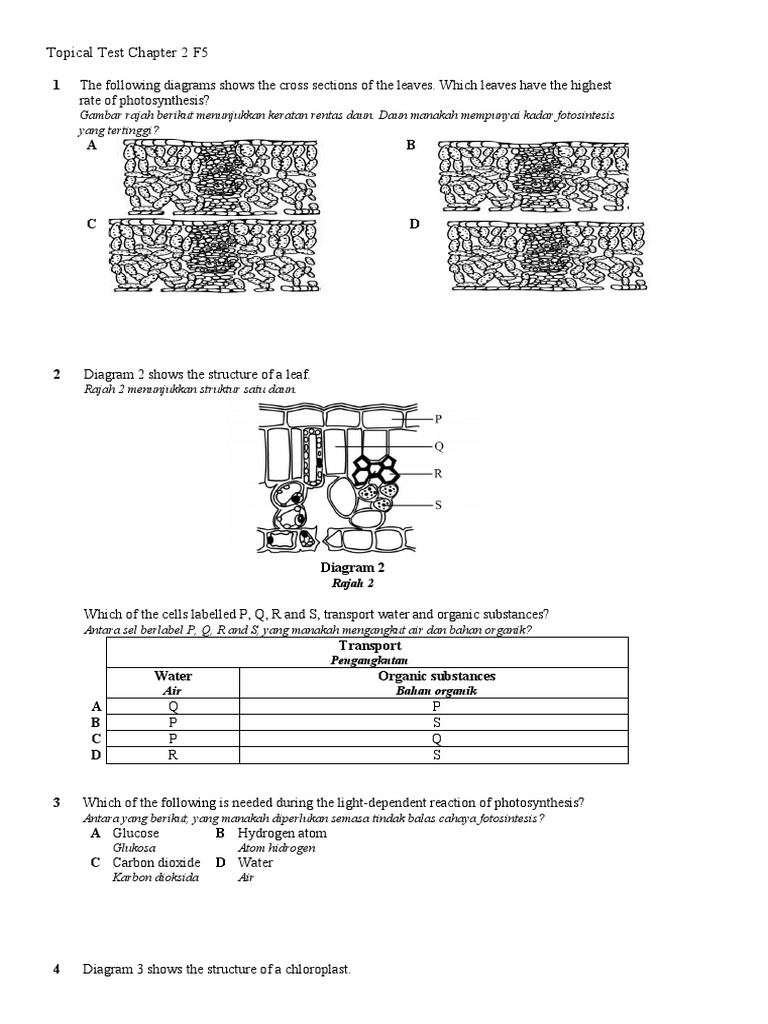 Topical Test Chapter 2 F5: Rajah 2 | PDF | Photosynthesis | Biochemistry