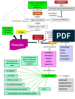 Organizador Gráfico Sobre La Filosofía