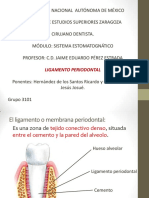 Ligamentoperiodontal 111120114126 Phpapp01