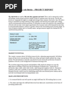 Download Project Report - Fly Ash Bricks by Rohit Viegas SN58920482 doc pdf