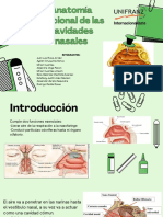 Anatomia Funcional de Las Cavidades Nasales