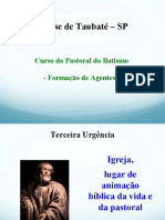 Curso Pastoral Bastismo Formacao Agentes