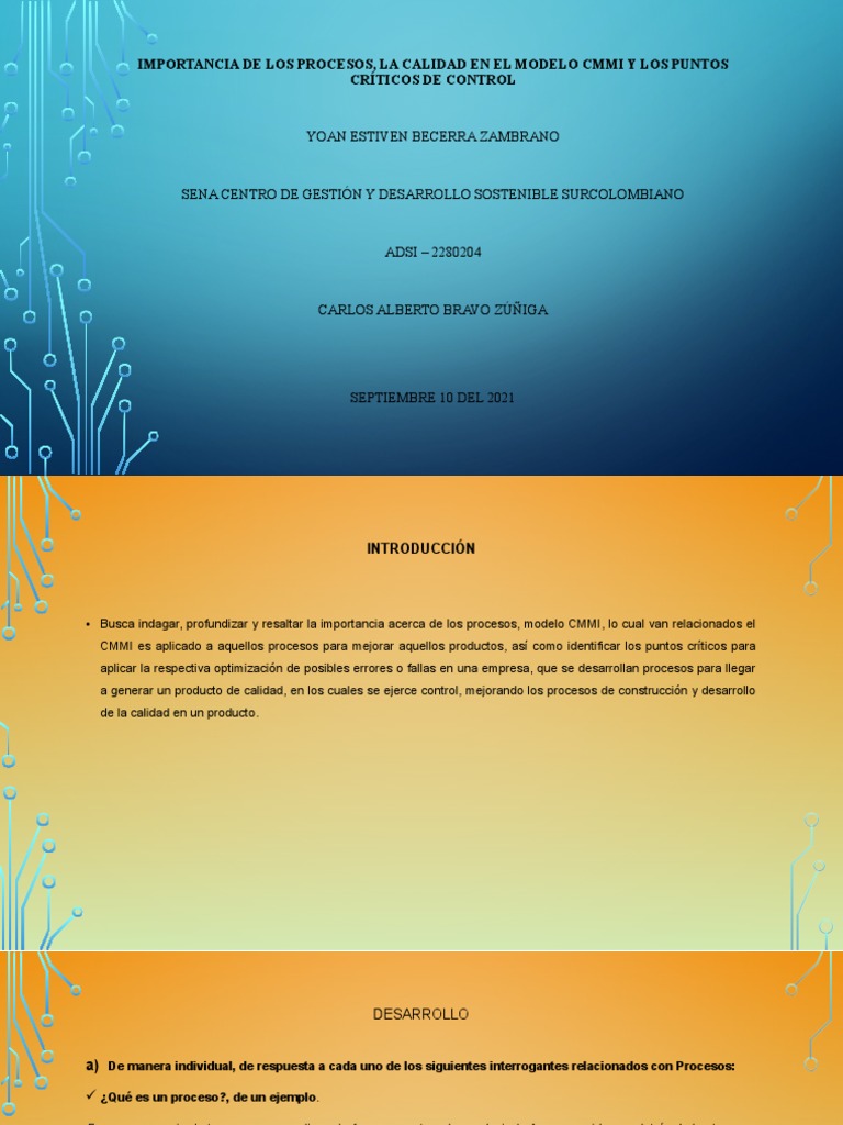 Importancia de los procesos la calidad en el modelo cmmi pdf