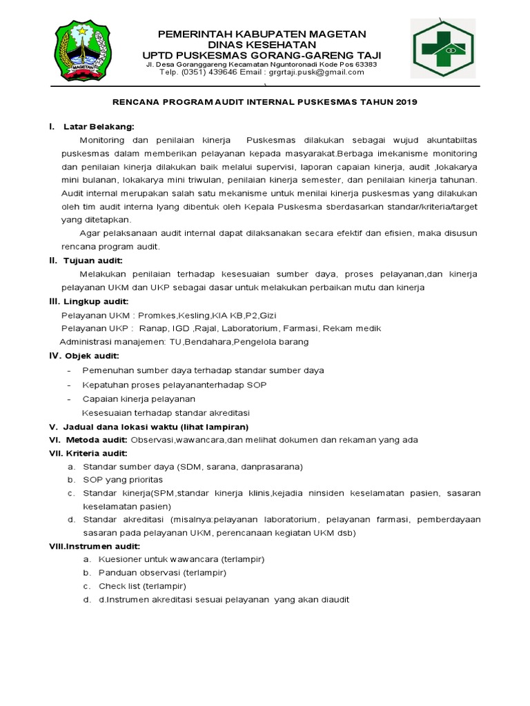 Rencana Audit Internal Puskesmas 2019 | PDF