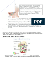 Glándulas salivales y su función en