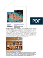 Voleibol