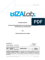BIZ-F-11 Ver. 01: Documento Elaborado Por BIZALAB S.A.C. Página 1 de 100