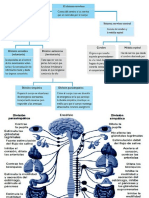 Bases Biológicas de La Conducta 3