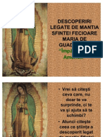 Sfanta Fecioara Maria de Guadalupe