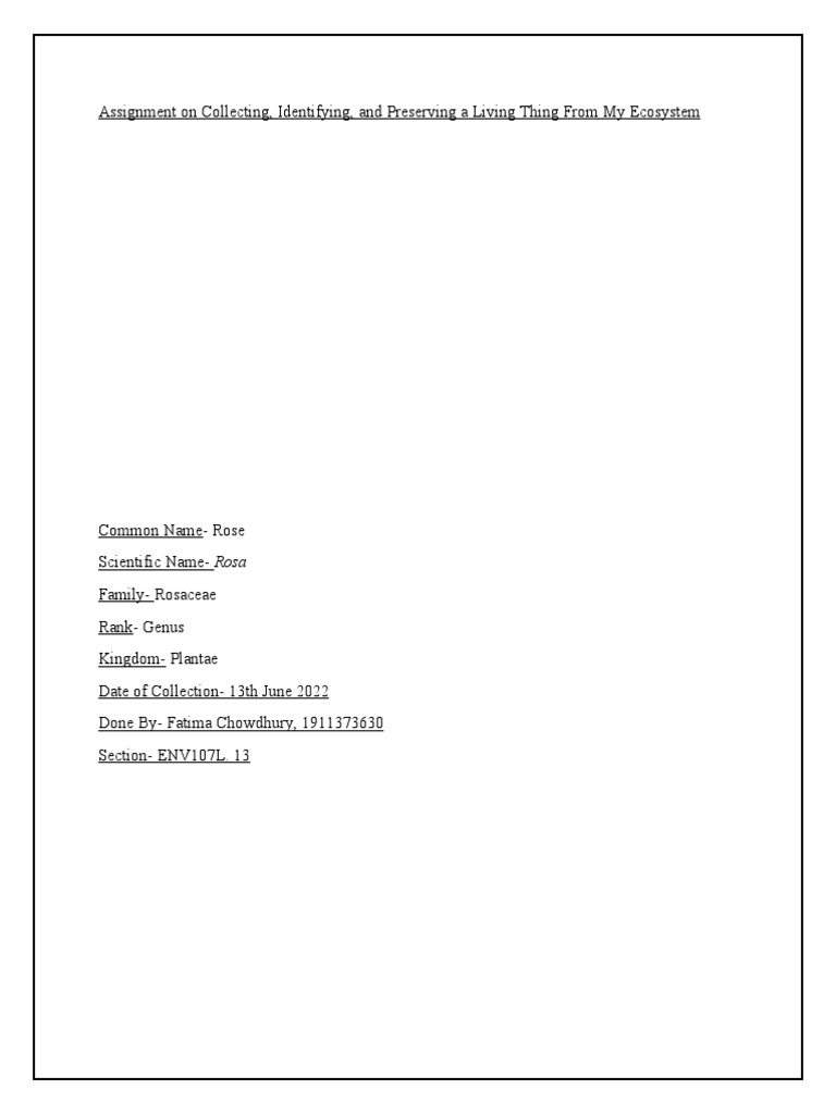 Assignment On Collecting | PDF | Science & Mathematics