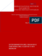 UNMSM TITULACION 2022 Entendimiento Del Negocioe Industria Del Cliente y Sus Riesgos