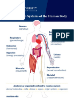 The 11 Organ Systems of The Human Body: Arian Niversity