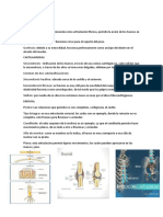 Tarea Por Su Estructura