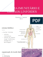 Sistema Imunitário e Órgãos Linfóides