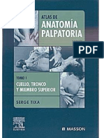 Anatomía_Palpatoria1