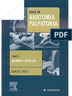 Anatomía_Palpatoria2