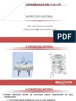 Aula 10 - Convecção Natural