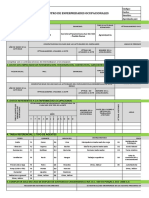 Iqf-Sst-Fr03 Formato de Enfermedades Ocupacionales