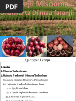 Labsii Galmeessaa Fi Heyyama Lak.980.2008 | PDF
