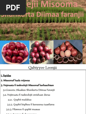 Yuqori fotosuratda otirgan yosh osiyolik ayollar