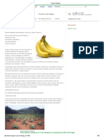 Banana - Epagri