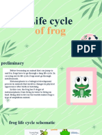 Life Cycle of Frog
