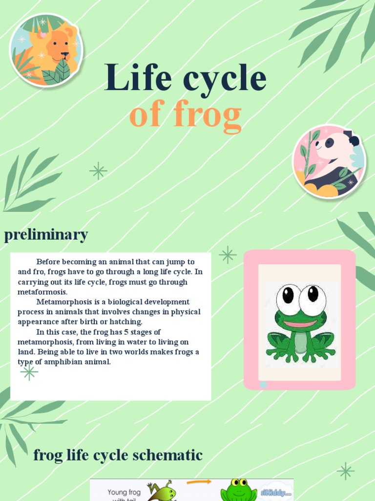 Life Cycle of Frog | PDF | Frog | Zoology