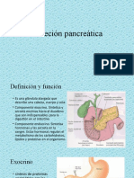 01secreción Pancreática