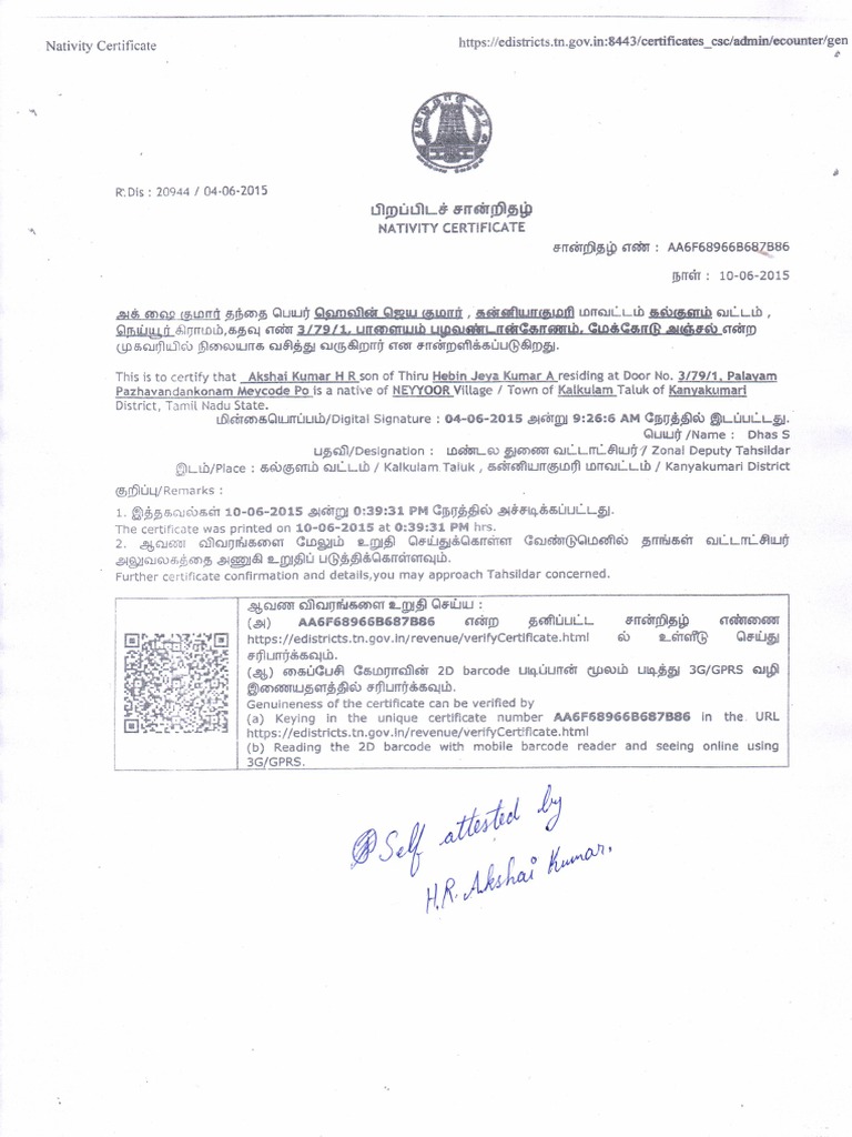 Nativity Certificate PDF PDF