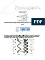 Ácidos Nucleicos 23 Agosto 2021