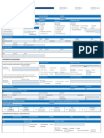 Copia de Estado de Situación BCH para Completar Firmar y Enviar en Excel y PDF