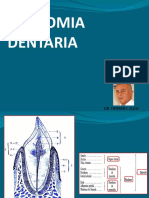 5 Anatomia Dentaria