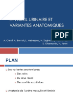 GU Appareil Urinaire Et Variantes Anatomiques