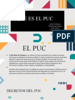 Puc Contabilidad