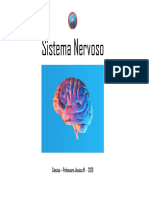 Sistema Nervoso 8âº Ano.pdf