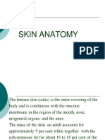 001 - Skin Anatomy