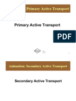 Animation: Primary Active Transport