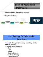 Regulation of Metabolic Pathways: Limited Number of Regulatory Enzymes Negative Feedback