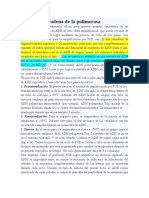 Reacción en Cadena de La Polimerasa