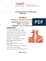 Informe Anatomia II - s2