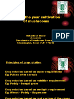 Round The Year Mushroom & Economics