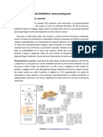 FÍSICA BIOMÉDICA: Electrocardiograma: Actividad Eléctrica Del Corazón