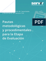 Recursos Informativos - PAUTAS para La Etapa de Evaluación