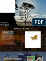 Biodiversidade do Cerrado