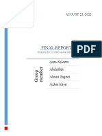 .Final Report.: Aina Saleem Abdullah Ahsan Sageer Azhar Khan