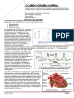 Ecg Normal