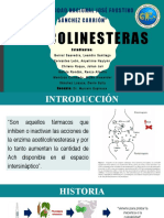 Anticolinesteras Neurofisiología