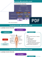 Patologias Sexuales