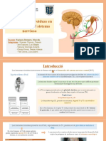 Las Hormonas Tiroideas en El Desarrollo Del Sistema Nervioso