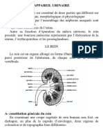 U3-H02. Histo Des Reins (15 Pages)